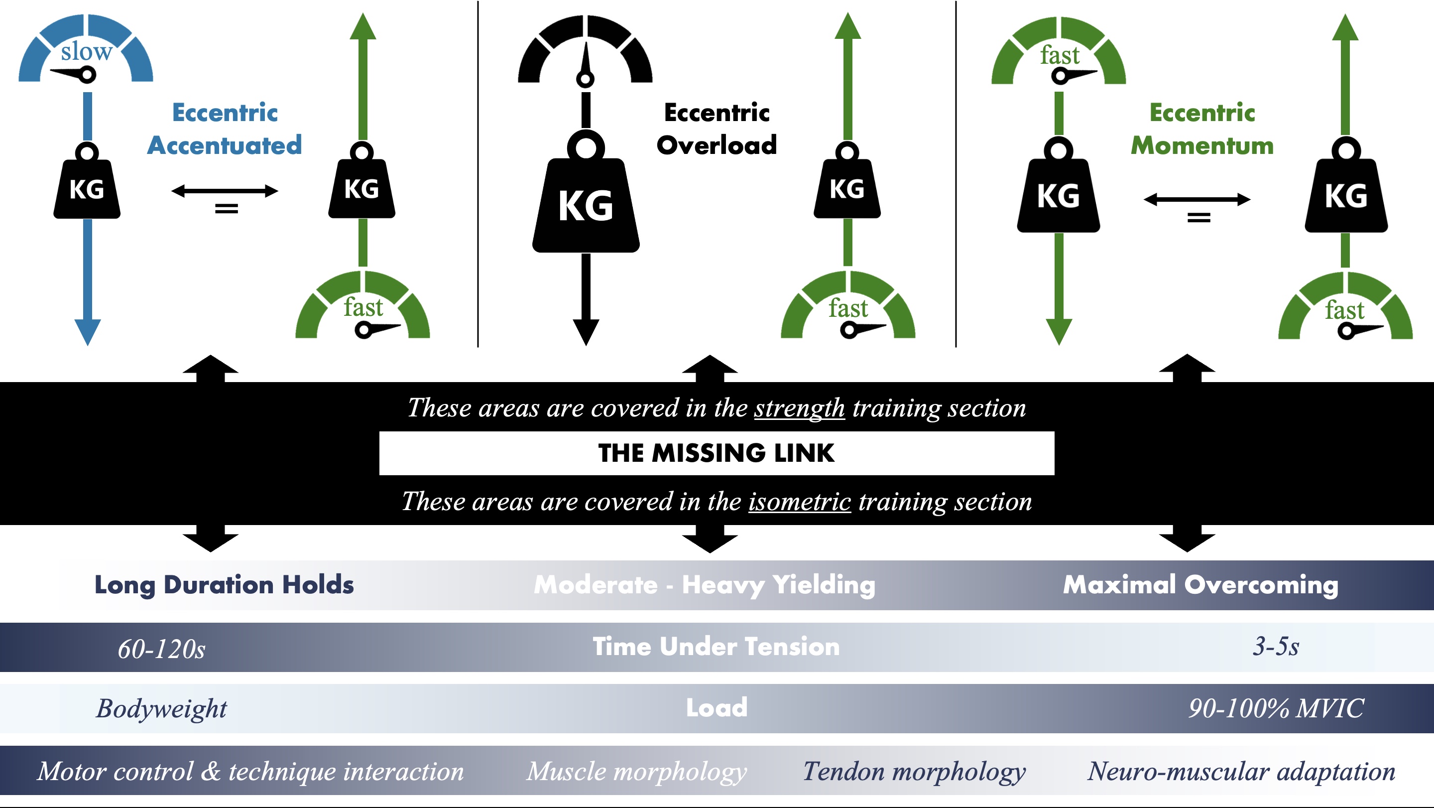 TML - The Missing Link
